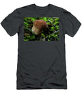 Fairy Mushroom Polypore Douglas Barnett T-Shirt