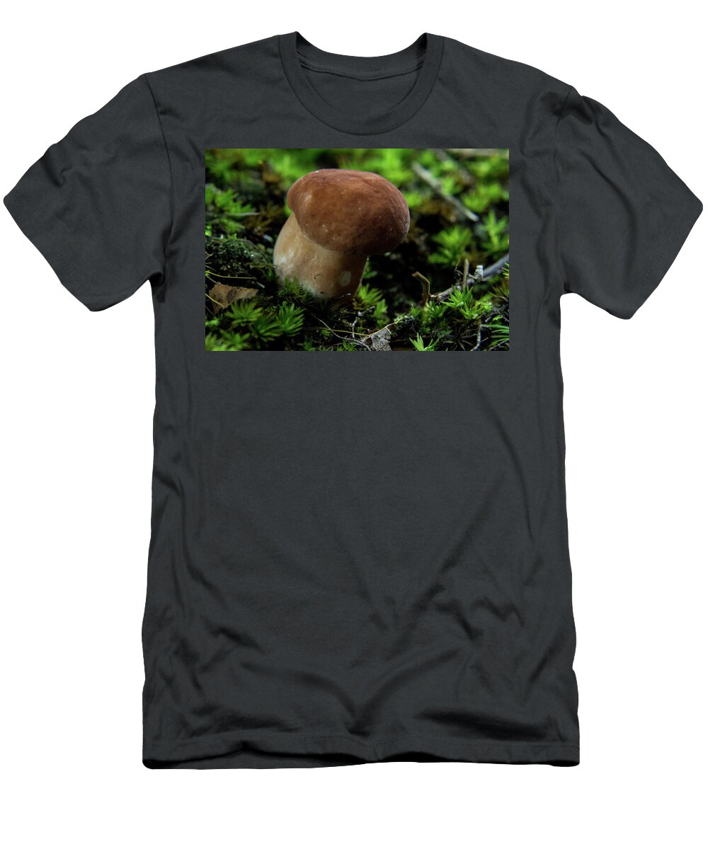 Fairy Mushroom Polypore Douglas Barnett T-Shirt