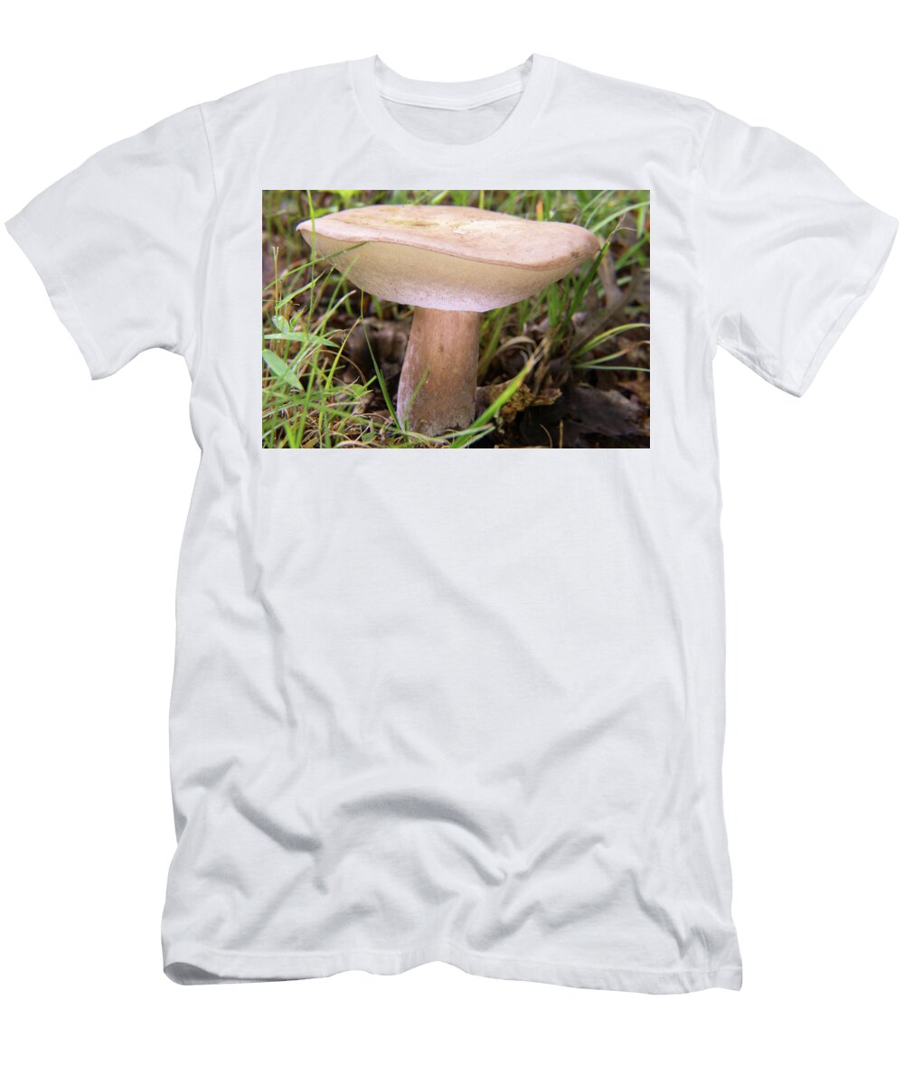 Glowing Polypore Douglas Barnett T-Shirt