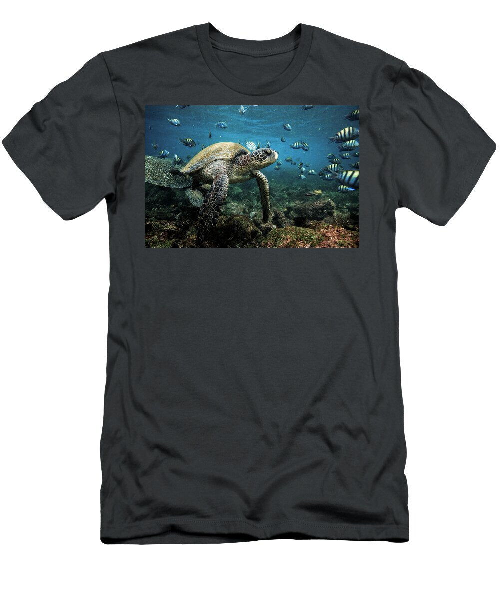 Sea Turtle and Fish Paul Kennedy T-Shirt