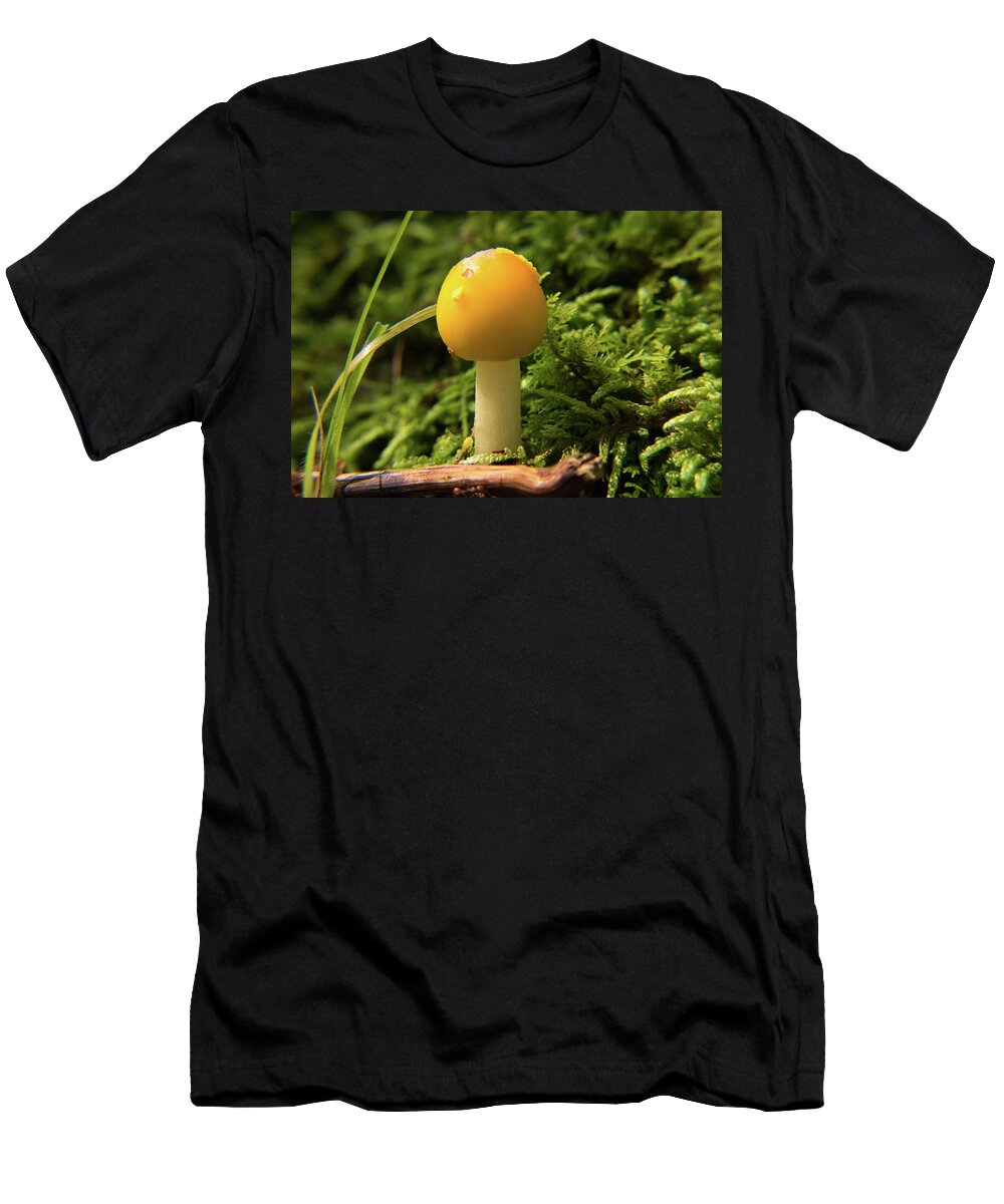 Yellow Species of Amanita Douglas Barnett T-Shirt